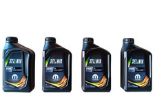 4 Litri Olio Selenia WR 5W40